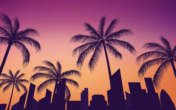 sunset cruise miami